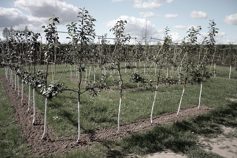 Killikus® Fotographie Killikus® Fotographie